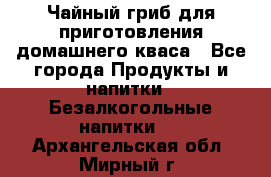 Чайный гриб для приготовления домашнего кваса - Все города Продукты и напитки » Безалкогольные напитки   . Архангельская обл.,Мирный г.
